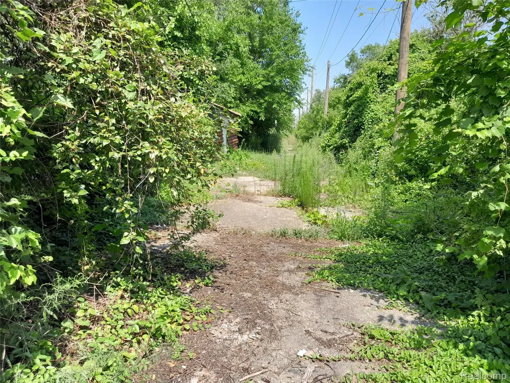 534 Bellevue Street Detroit City MI 48207