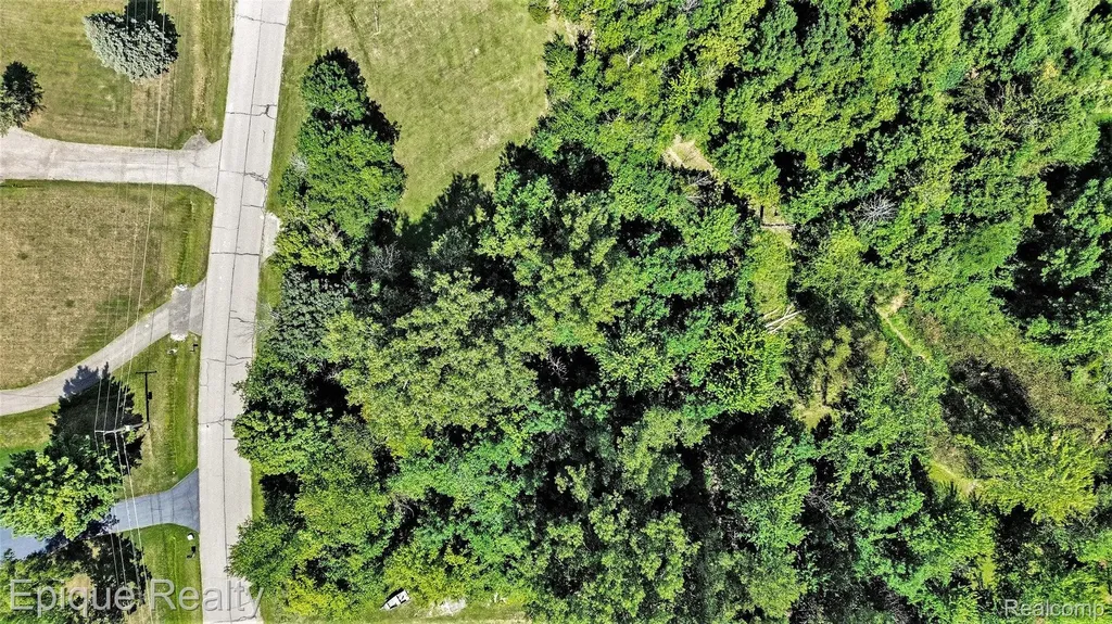 0 Shinanguag Drive Atlas Township MI 48438