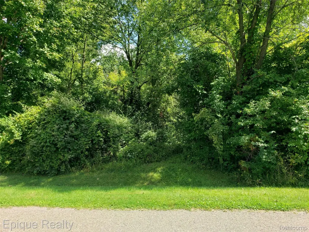 0 Shinanguag Drive Atlas Township MI 48438