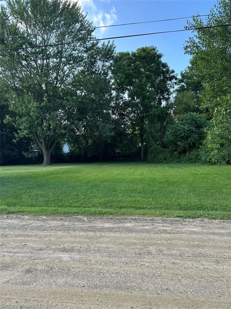 0 W Gracelawn Avenue Mt. Morris Township MI 48504