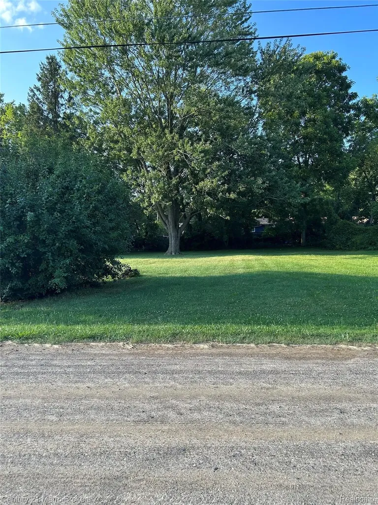 0 W Gracelawn Avenue Mt. Morris Township MI 48504