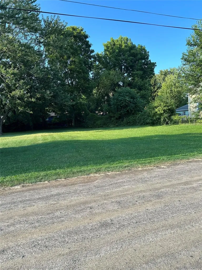 0 W Gracelawn Avenue Mt. Morris Township MI 48504