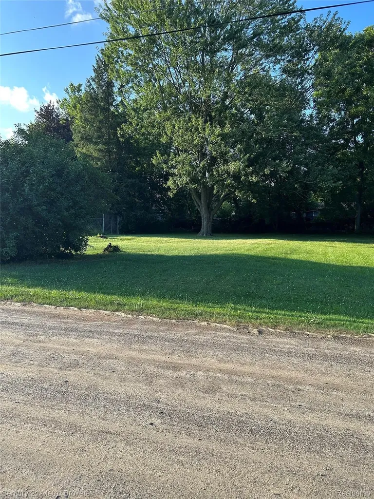 0 W Gracelawn Avenue Mt. Morris Township MI 48504