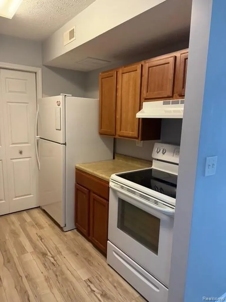 3021 Birch Row Drive East Lansing City MI 48823