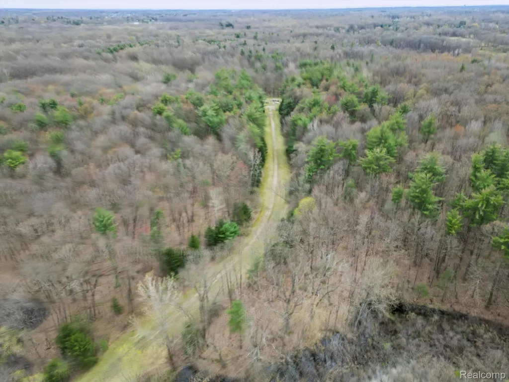 4.23 Acres Vl - Knights Bridge Road Addison Township MI 48367