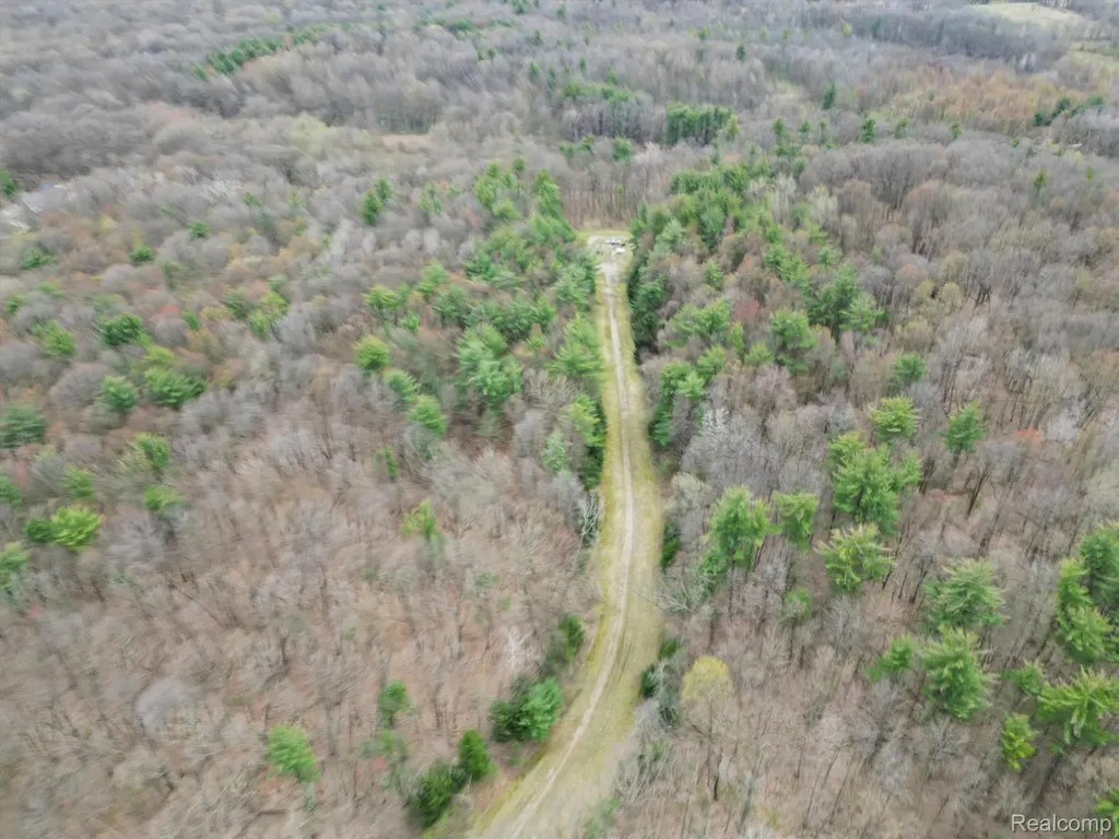 4.23 Acres Vl - Knights Bridge Road Addison Township MI 48367