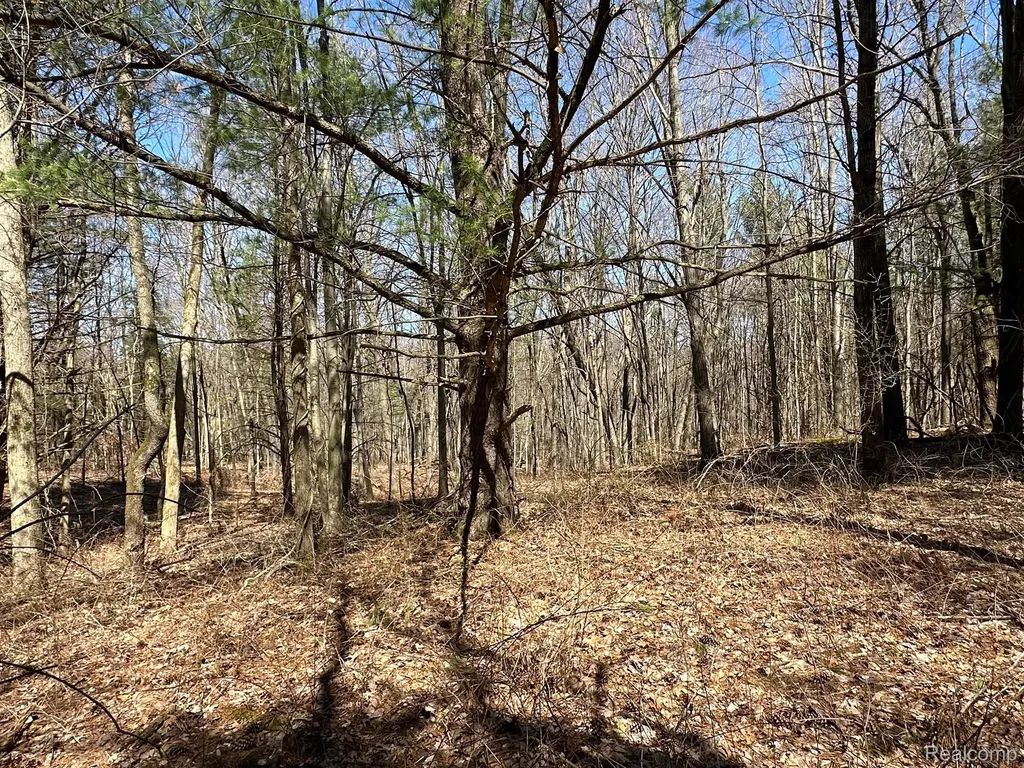 4.23 Acres Vl - Knights Bridge Road Addison Township MI 48367
