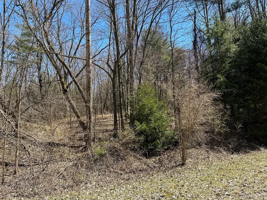 4.23 Acres Vl - Knights Bridge Road Addison Township MI 48367