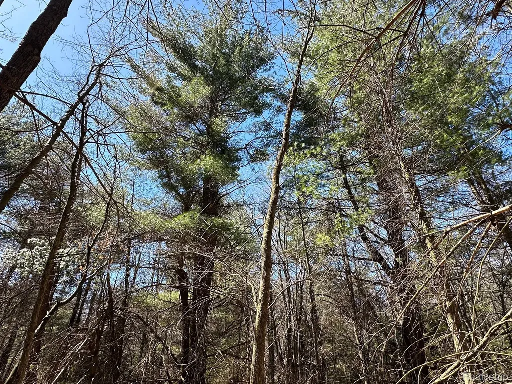 4.23 Acres Vl - Knights Bridge Road Addison Township MI 48367