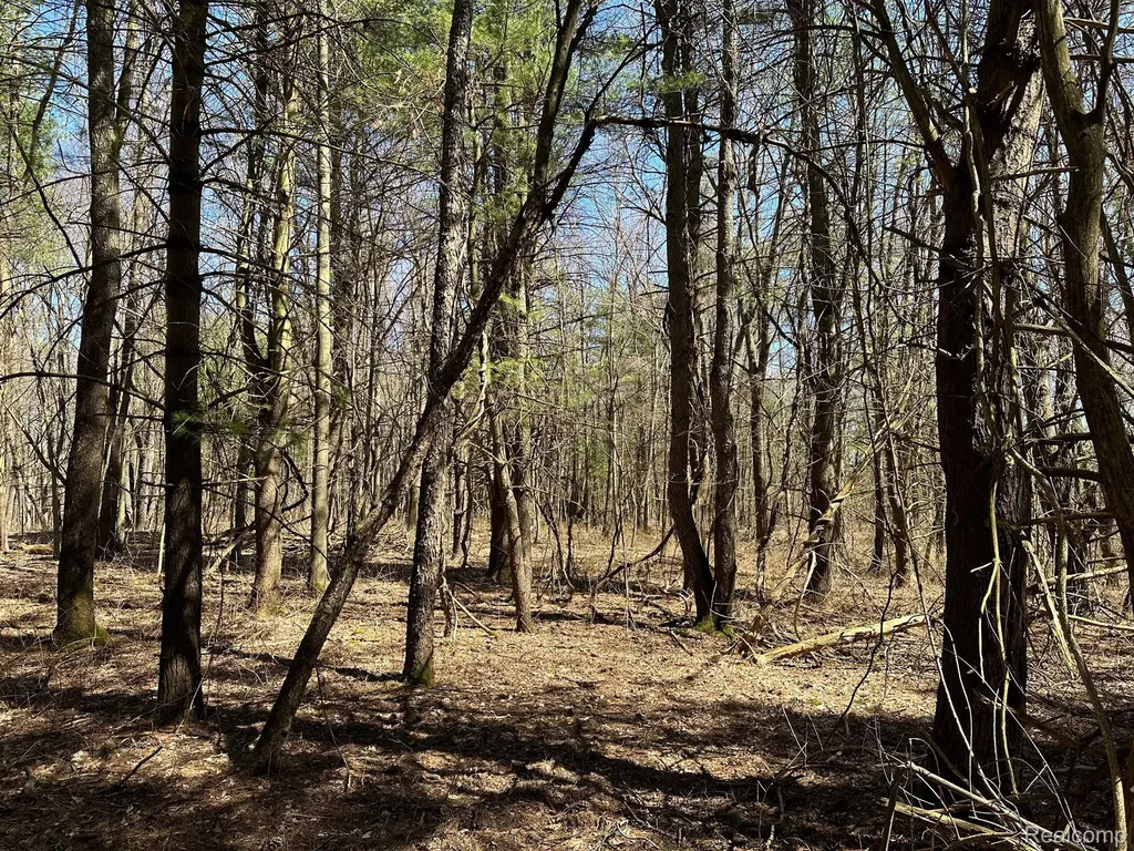 4.23 Acres Vl - Knights Bridge Road Addison Township MI 48367