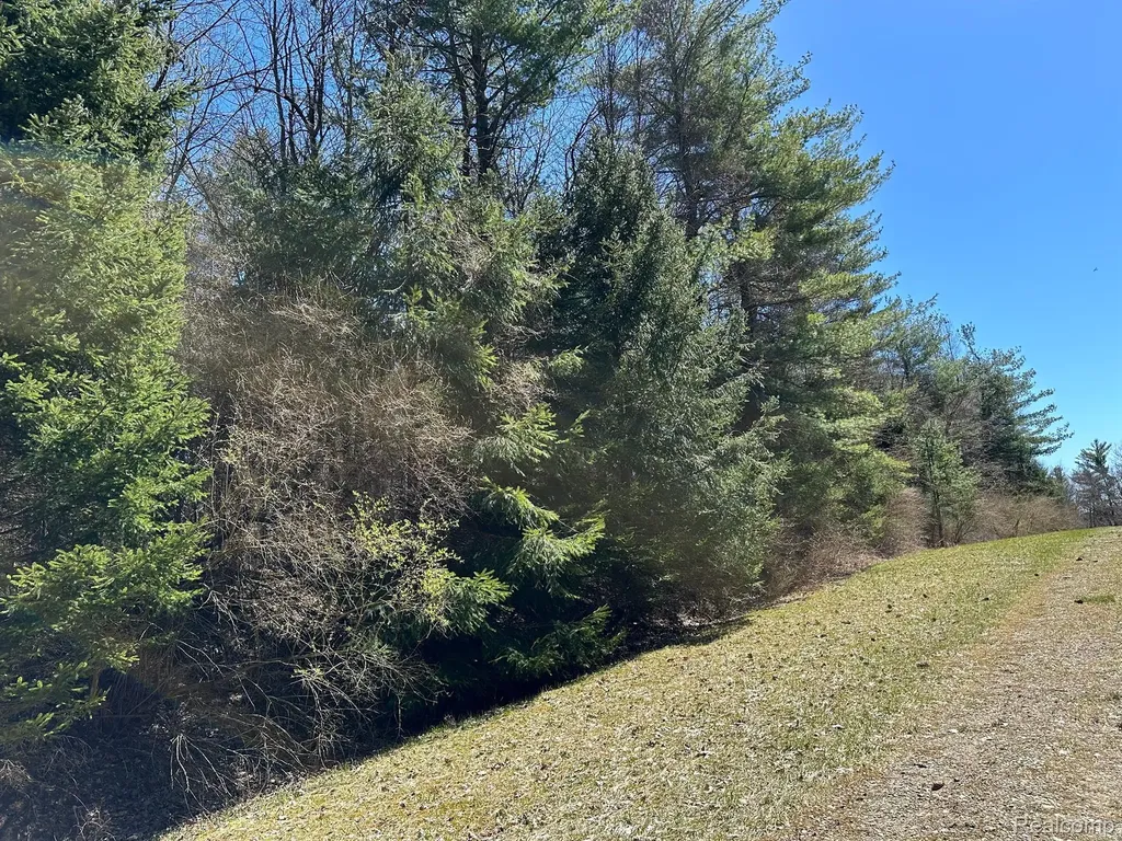 4.23 Acres Vl - Knights Bridge Road Addison Township MI 48367