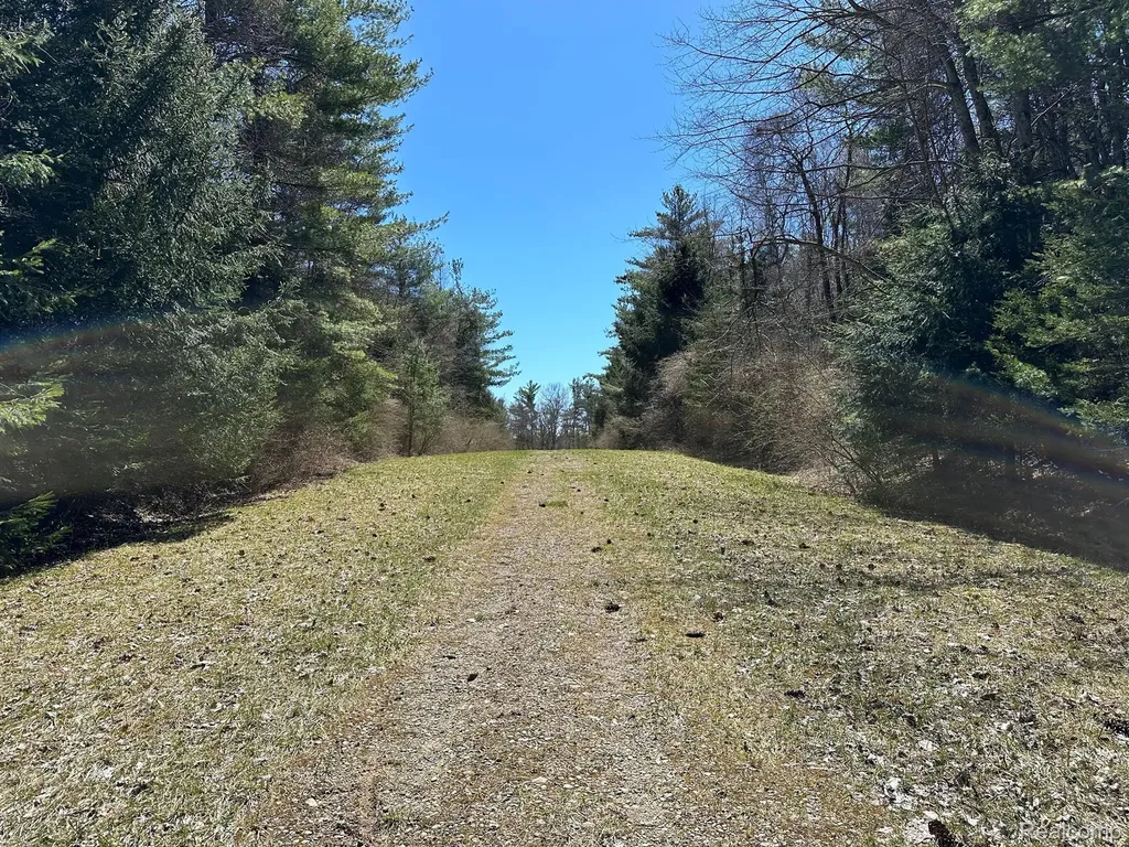 2.02 Acres Vl - Knights Bridge Road Addison Township MI 48367