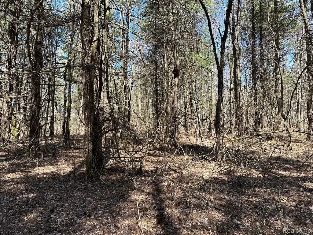 2.02 Acres Vl - Knights Bridge Road Addison Township MI 48367