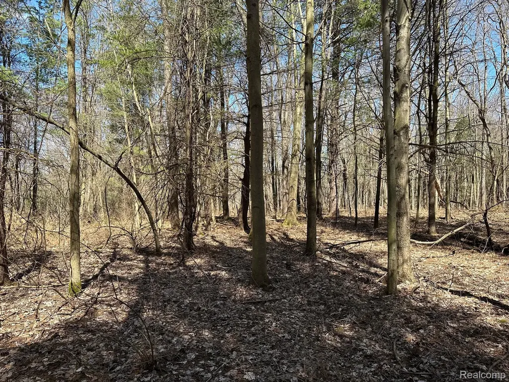 2.02 Acres Vl - Knights Bridge Road Addison Township MI 48367