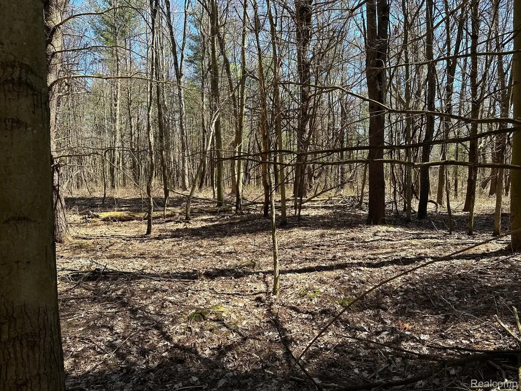 2.02 Acres Vl - Knights Bridge Road Addison Township MI 48367