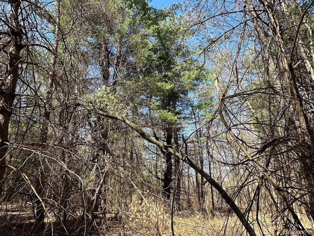 2.02 Acres Vl - Knights Bridge Road Addison Township MI 48367