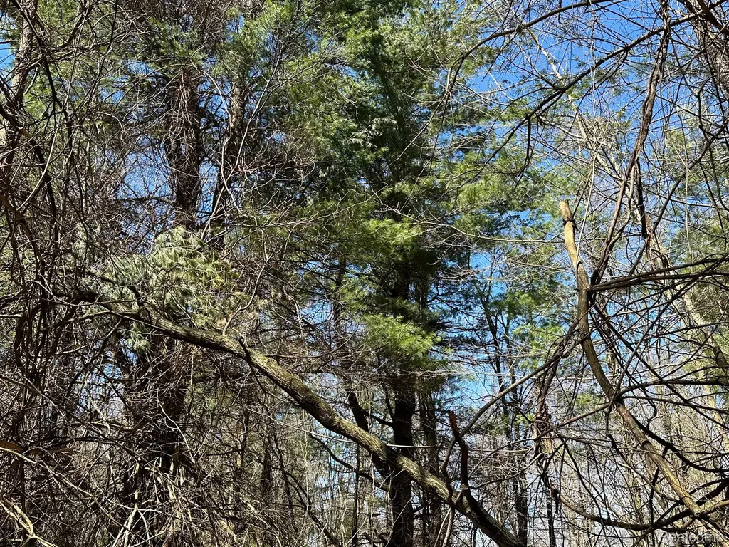 2.02 Acres Vl - Knights Bridge Road Addison Township MI 48367