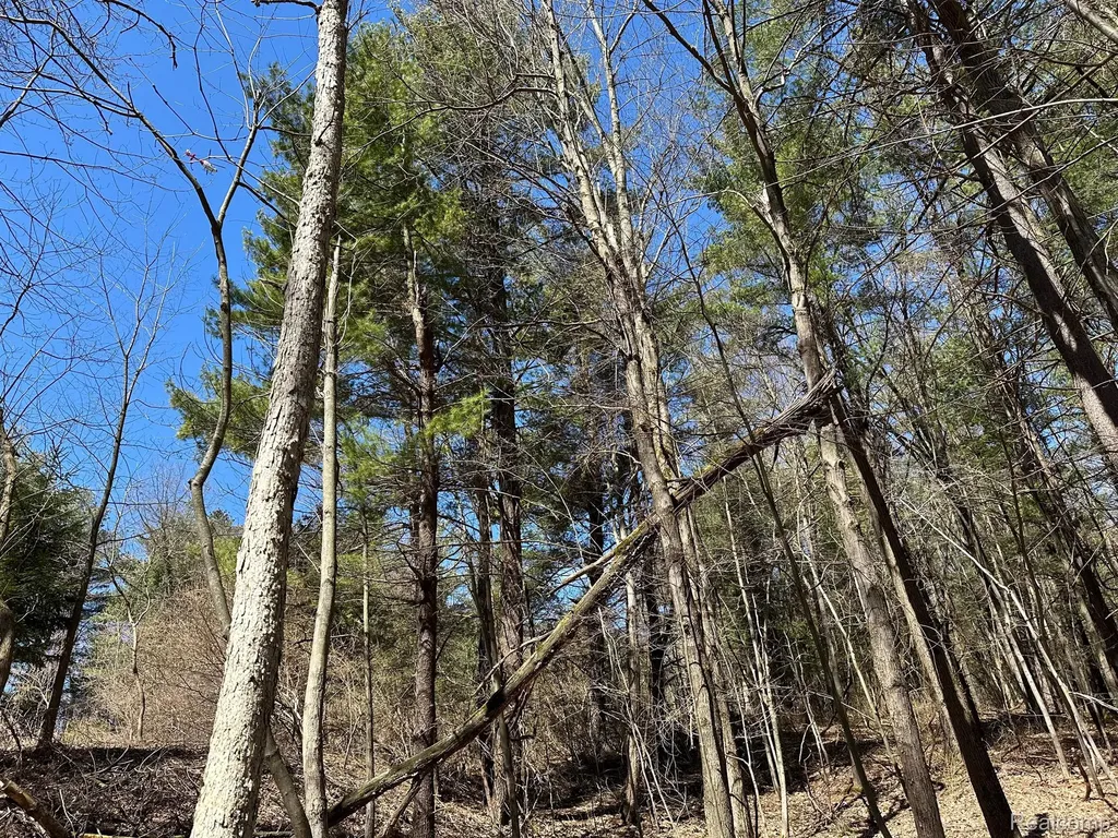 2.05 Acres Vl - Knights Bridge Road Addison Township MI 48367