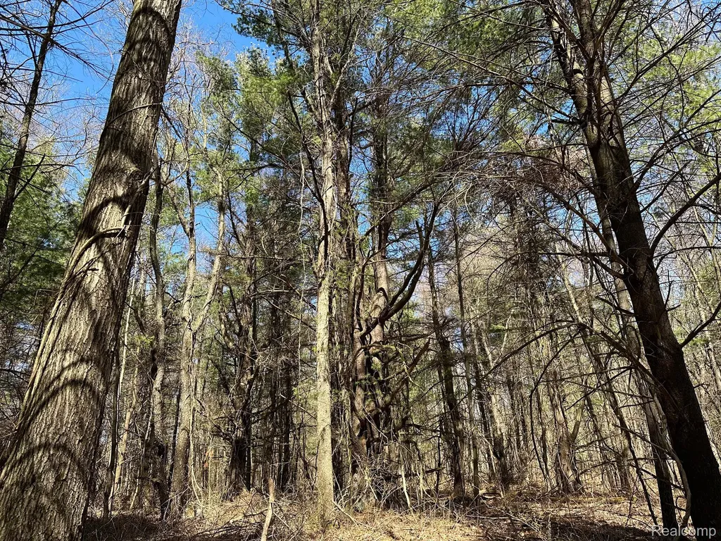 2.05 Acres Vl - Knights Bridge Road Addison Township MI 48367
