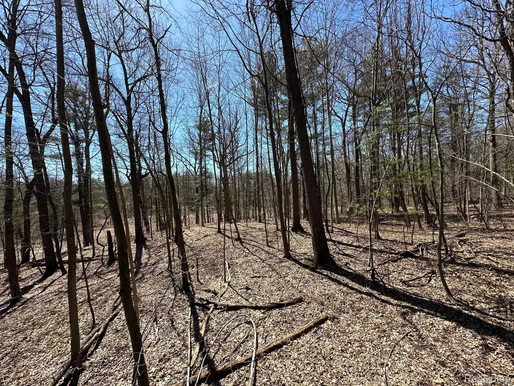 2.05 Acres Vl - Knights Bridge Road Addison Township MI 48367