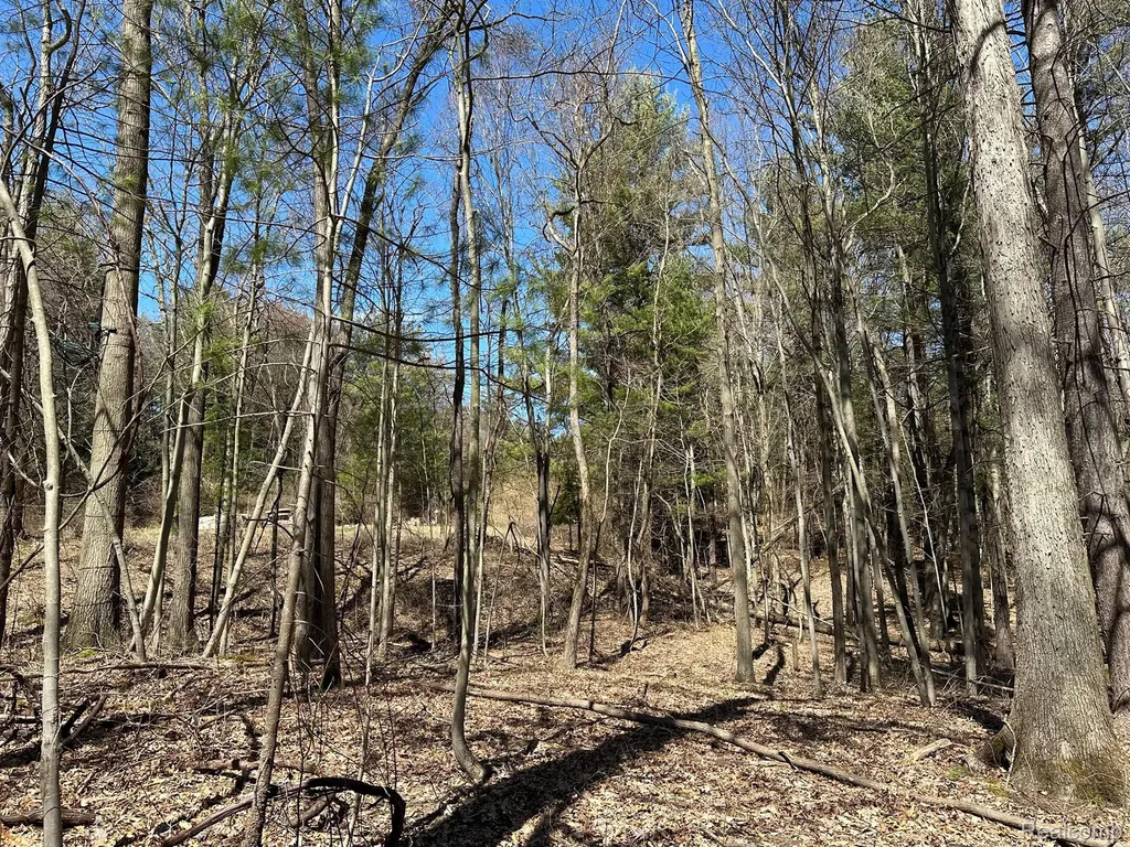 2.05 Acres Vl - Knights Bridge Road Addison Township MI 48367