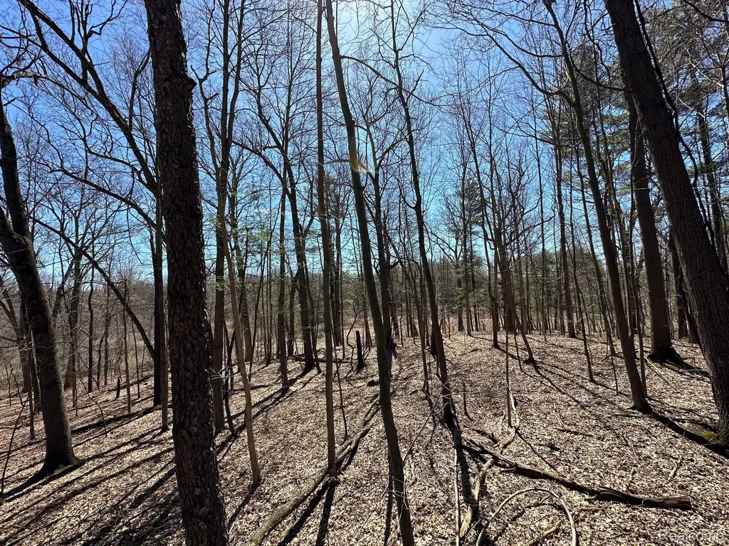2.05 Acres Vl - Knights Bridge Road Addison Township MI 48367