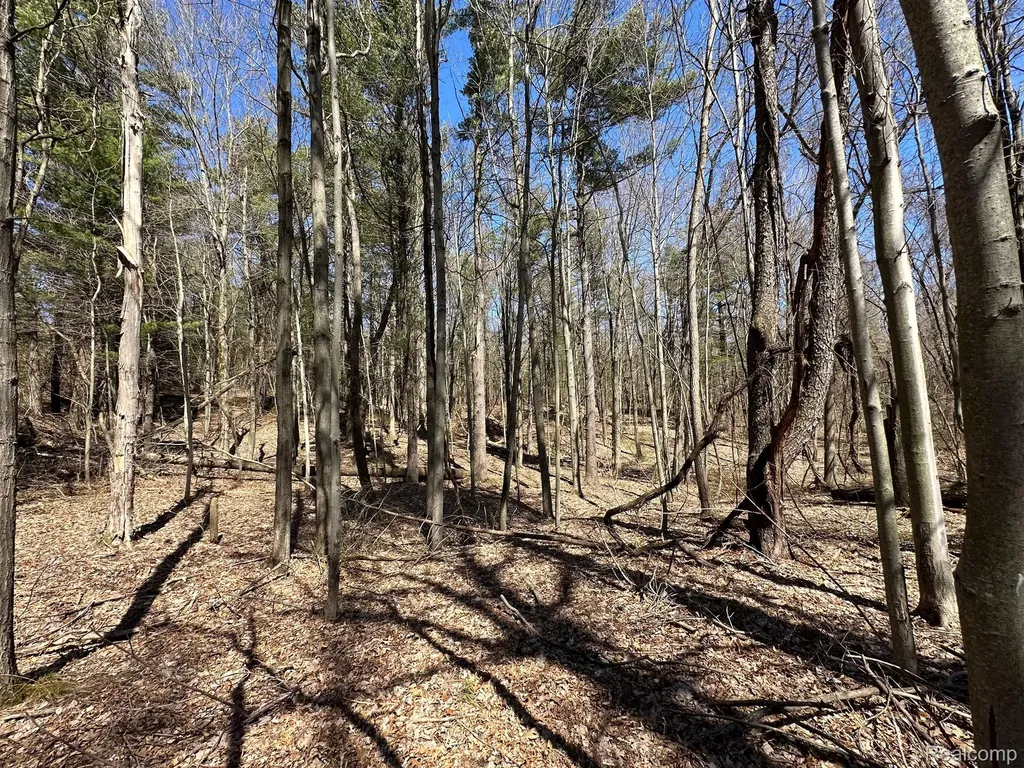 2.05 Acres Vl - Knights Bridge Road Addison Township MI 48367