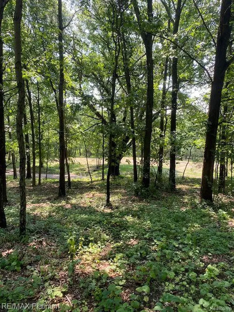 3 Sleaford-parcel 3-3.17 Acres Road Howell Township MI 48843