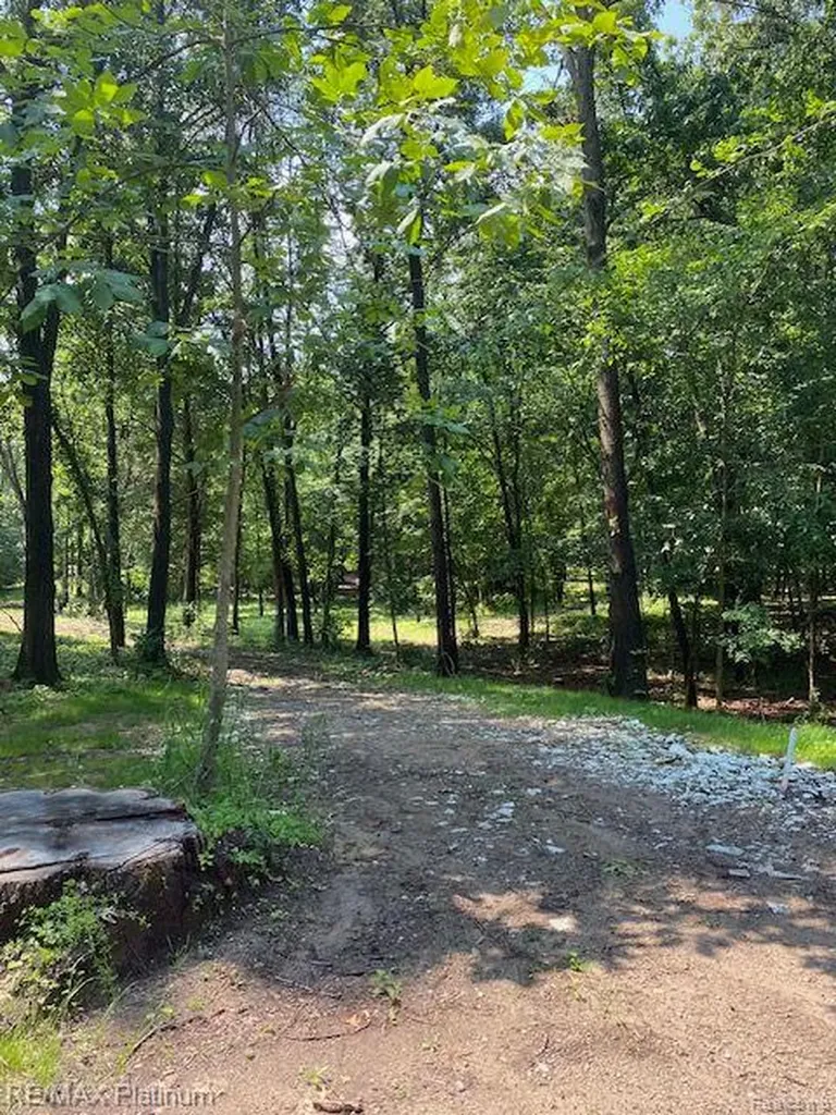 3 Sleaford-parcel 3-3.17 Acres Road Howell Township MI 48843