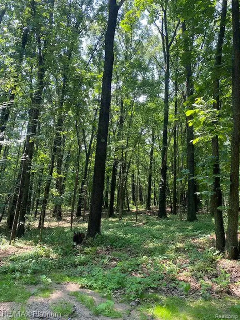 3 Sleaford-parcel 3-3.17 Acres Road Howell Township MI 48843