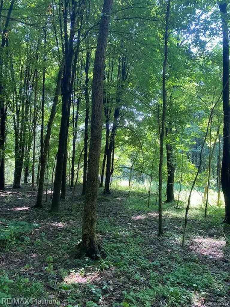 3 Sleaford-parcel 3-3.17 Acres Road Howell Township MI 48843