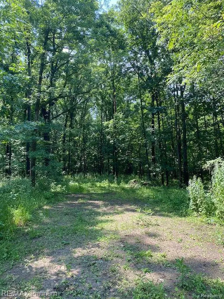 3 Sleaford-parcel 3-3.17 Acres Road Howell Township MI 48843