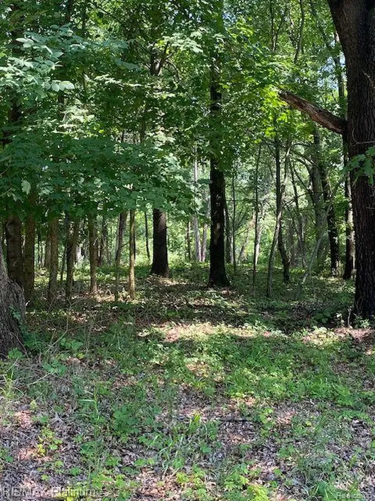 3 Sleaford-parcel 3-3.17 Acres Road Howell Township MI 48843