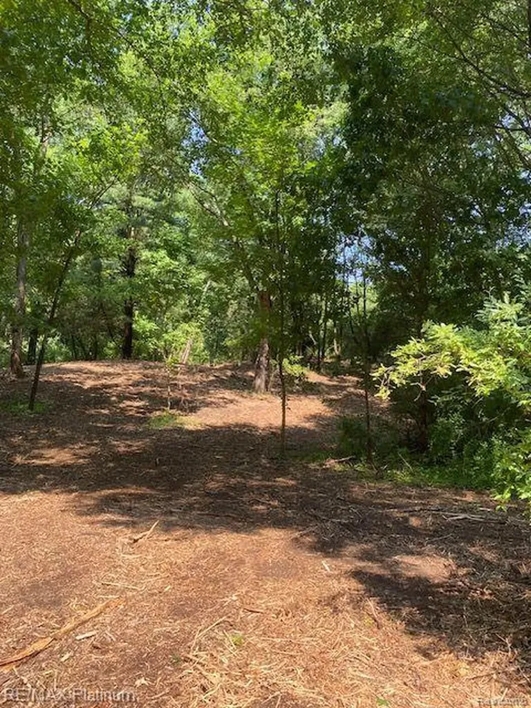 4 Sleaford-parcel 4 - 32.92 Acres Road Howell Township MI 48843
