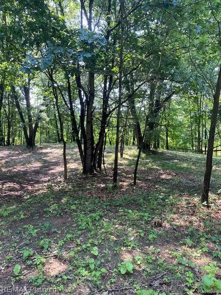 4 Sleaford-parcel 4 - 32.92 Acres Road Howell Township MI 48843