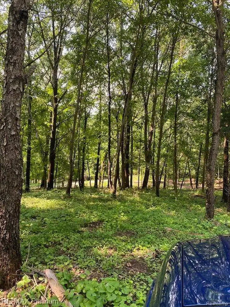 4 Sleaford-parcel 4 - 32.92 Acres Road Howell Township MI 48843