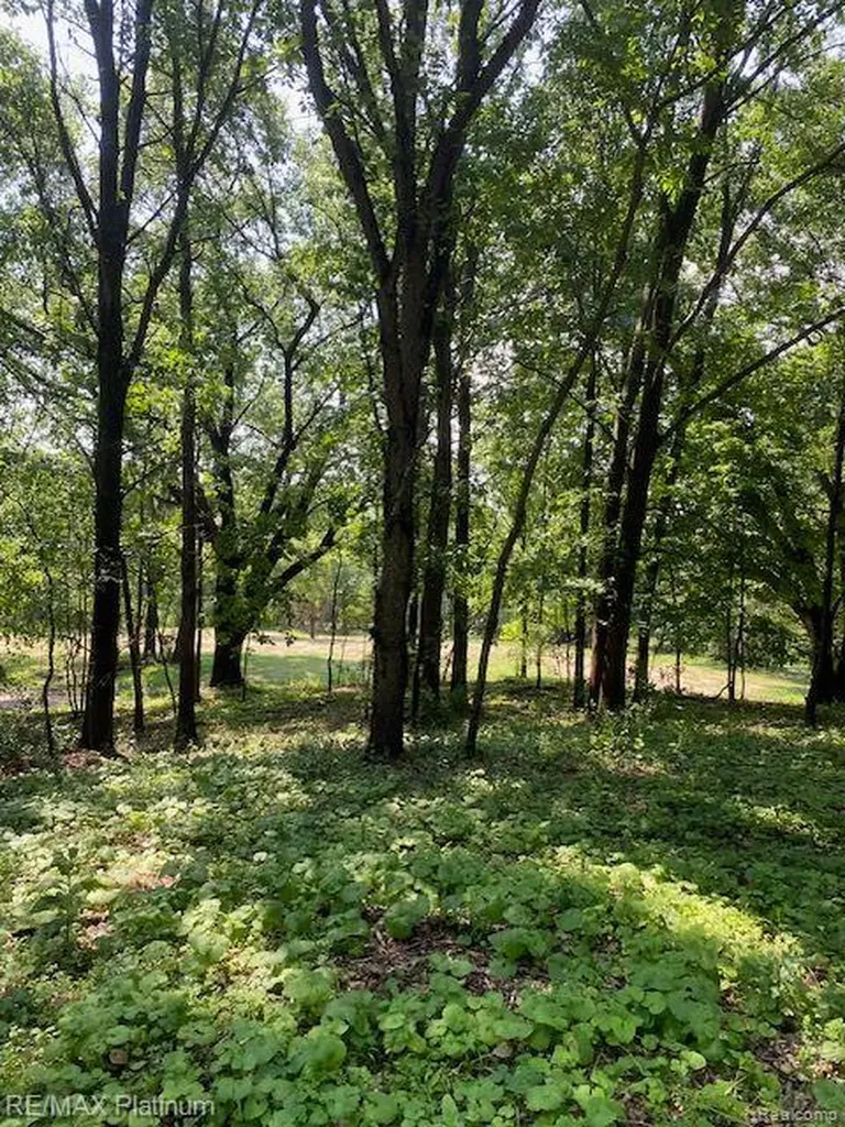 4 Sleaford-parcel 4 - 32.92 Acres Road Howell Township MI 48843