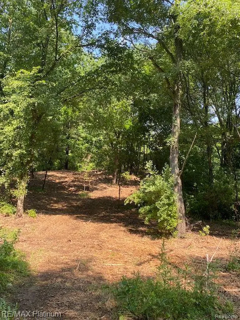 4 Sleaford-parcel 4 - 32.92 Acres Road Howell Township MI 48843