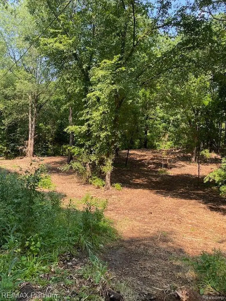 4 Sleaford-parcel 4 - 32.92 Acres Road Howell Township MI 48843