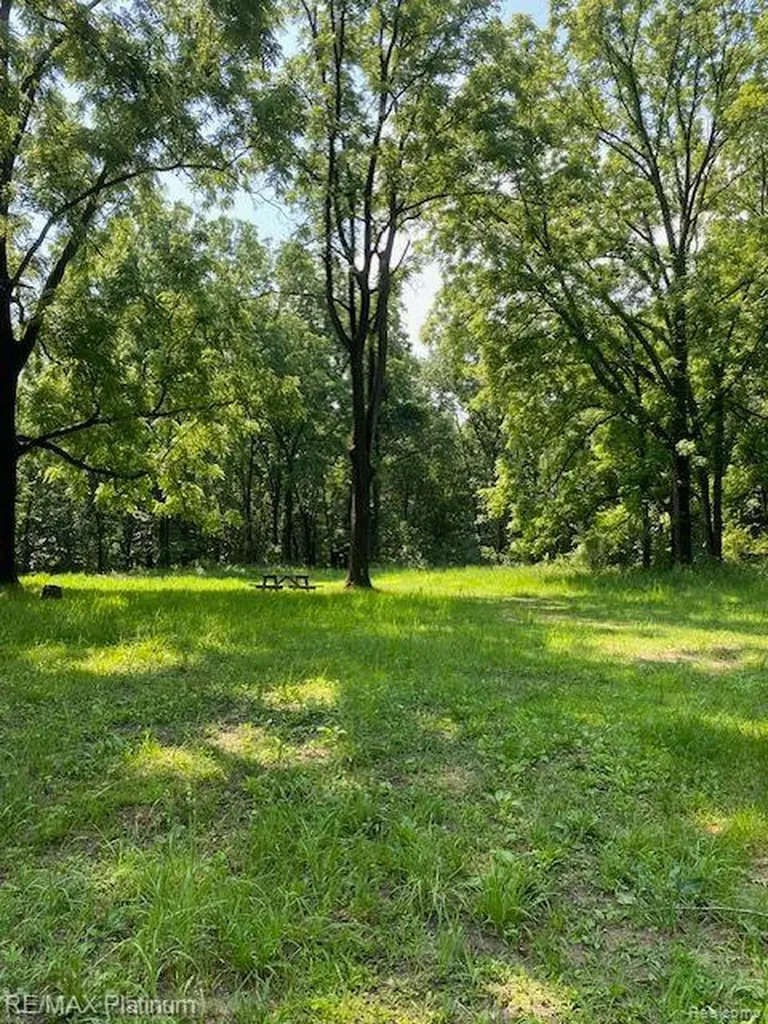 4 Sleaford-parcel 4 - 32.92 Acres Road Howell Township MI 48843