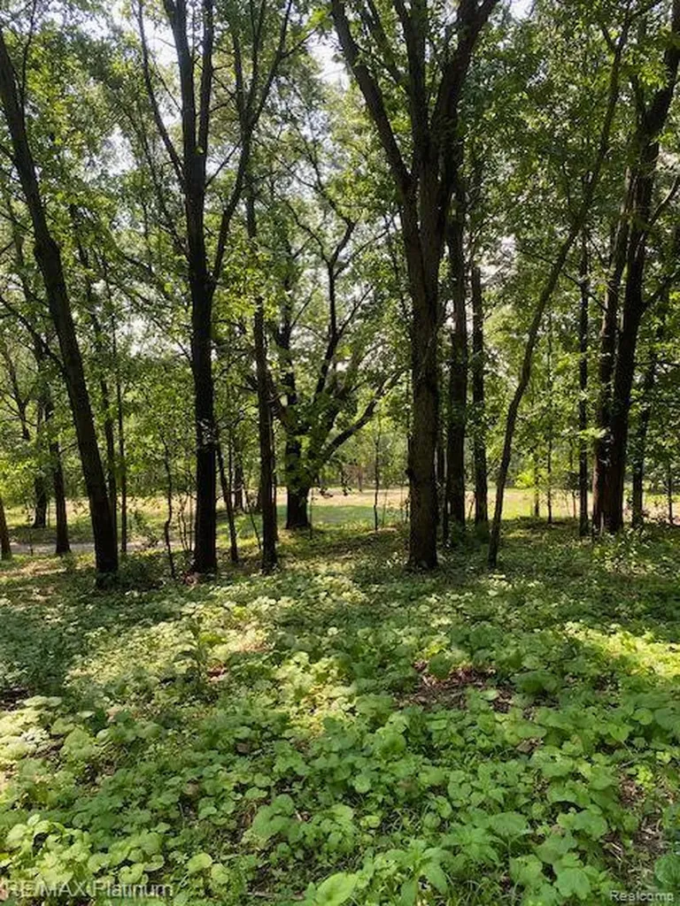 2 Sleaford-parcel 2-3.2 Acres Road N Howell Township MI 48843