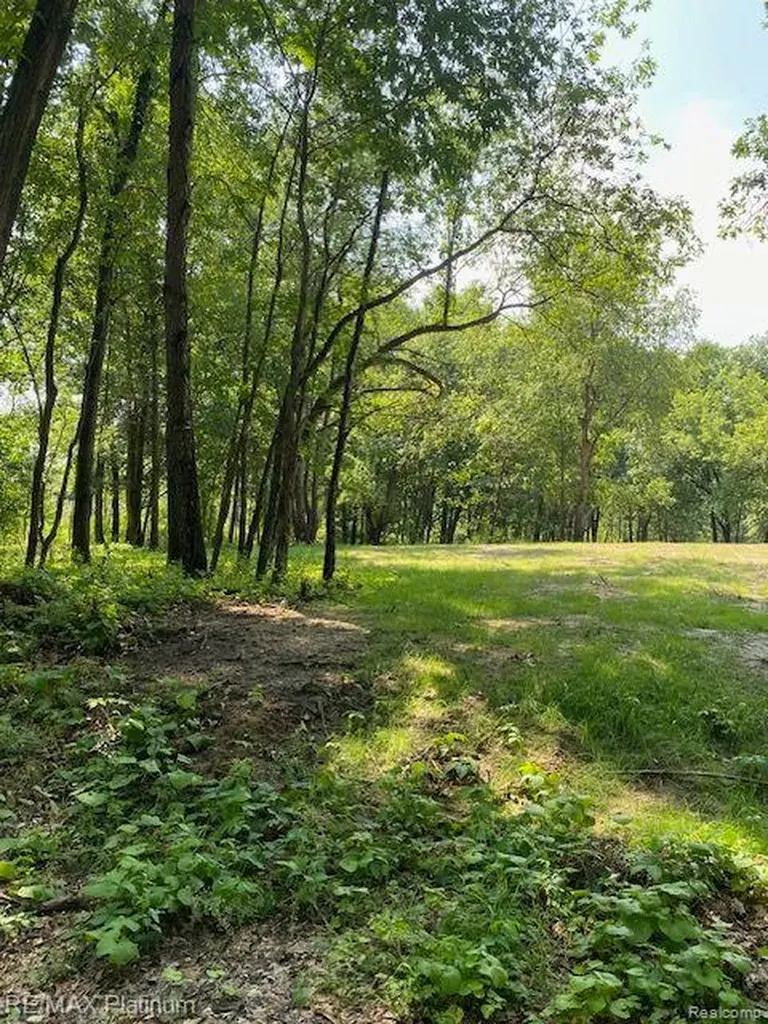 2 Sleaford-parcel 2-3.2 Acres Road N Howell Township MI 48843