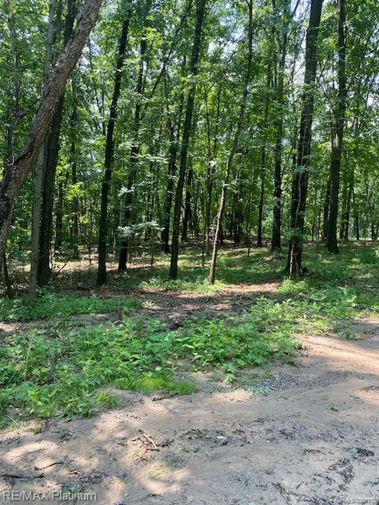 2 Sleaford-parcel 2-3.2 Acres Road N Howell Township MI 48843