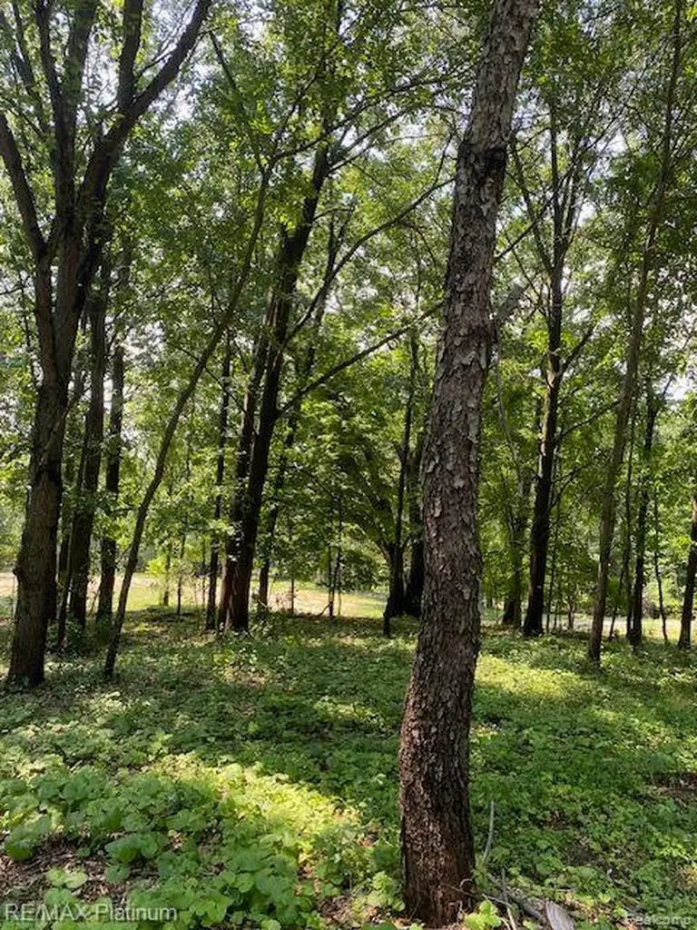 5 Sleaford-parcel 5 - 2.5 Acres Road Howell Township MI 48843