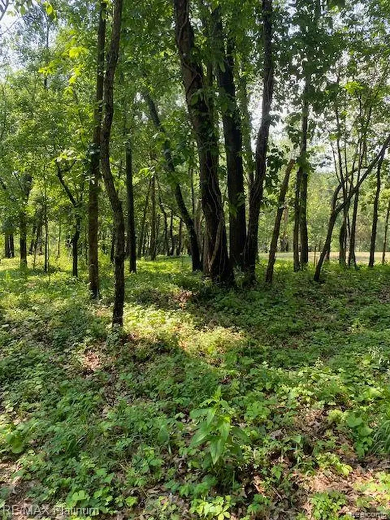 5 Sleaford-parcel 5 - 2.5 Acres Road Howell Township MI 48843