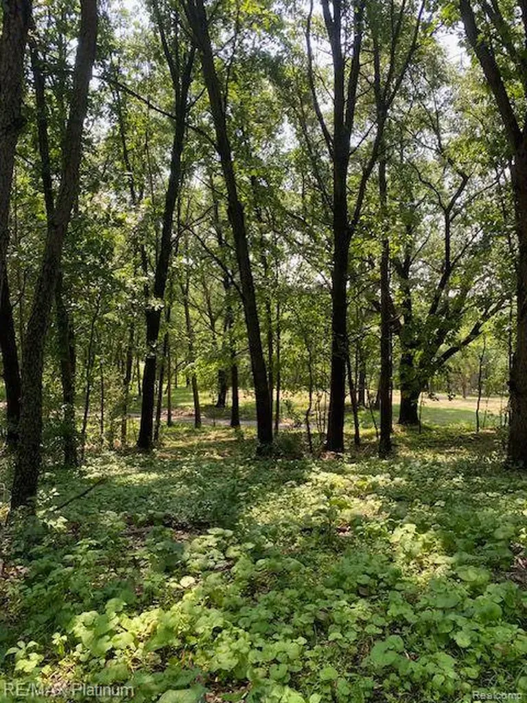 5 Sleaford-parcel 5 - 2.5 Acres Road Howell Township MI 48843