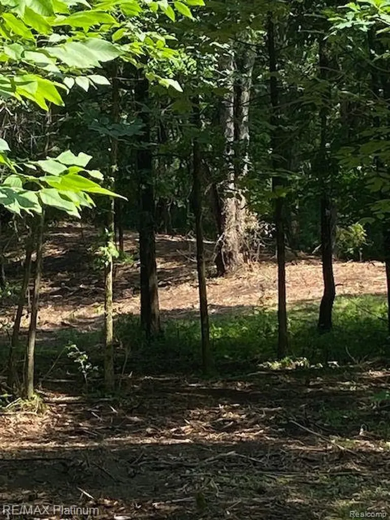 5 Sleaford-parcel 5 - 2.5 Acres Road Howell Township MI 48843