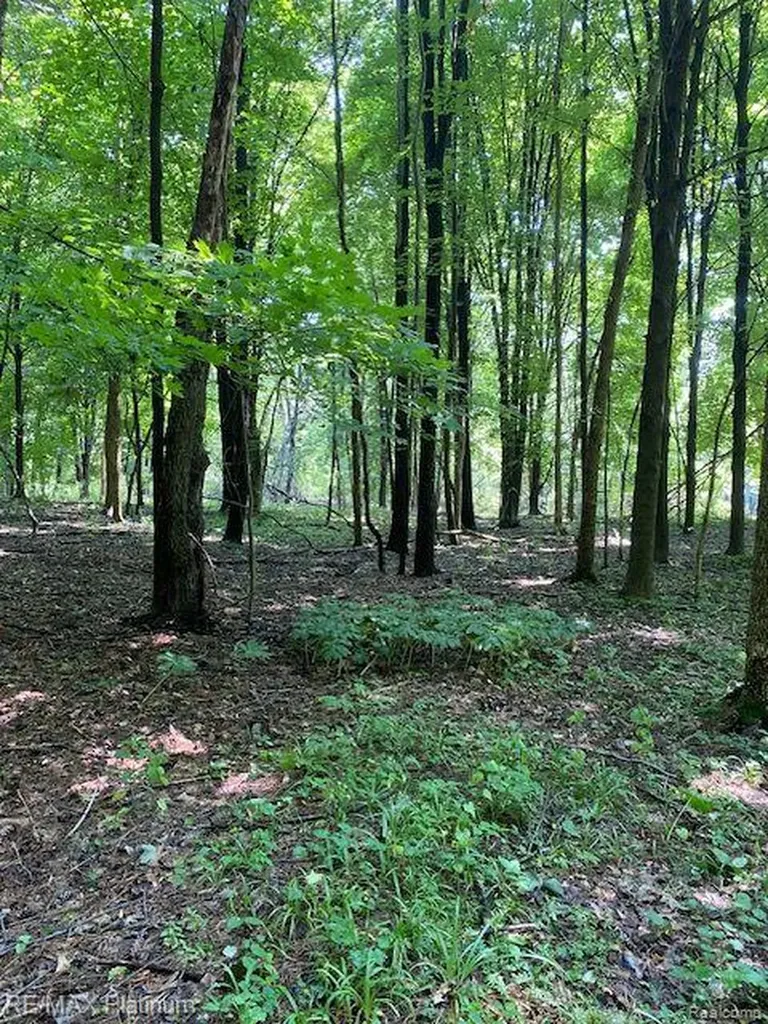 5 Sleaford-parcel 5 - 2.5 Acres Road Howell Township MI 48843