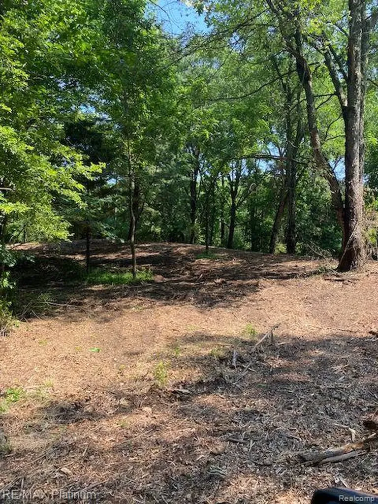 5 Sleaford-parcel 5 - 2.5 Acres Road Howell Township MI 48843