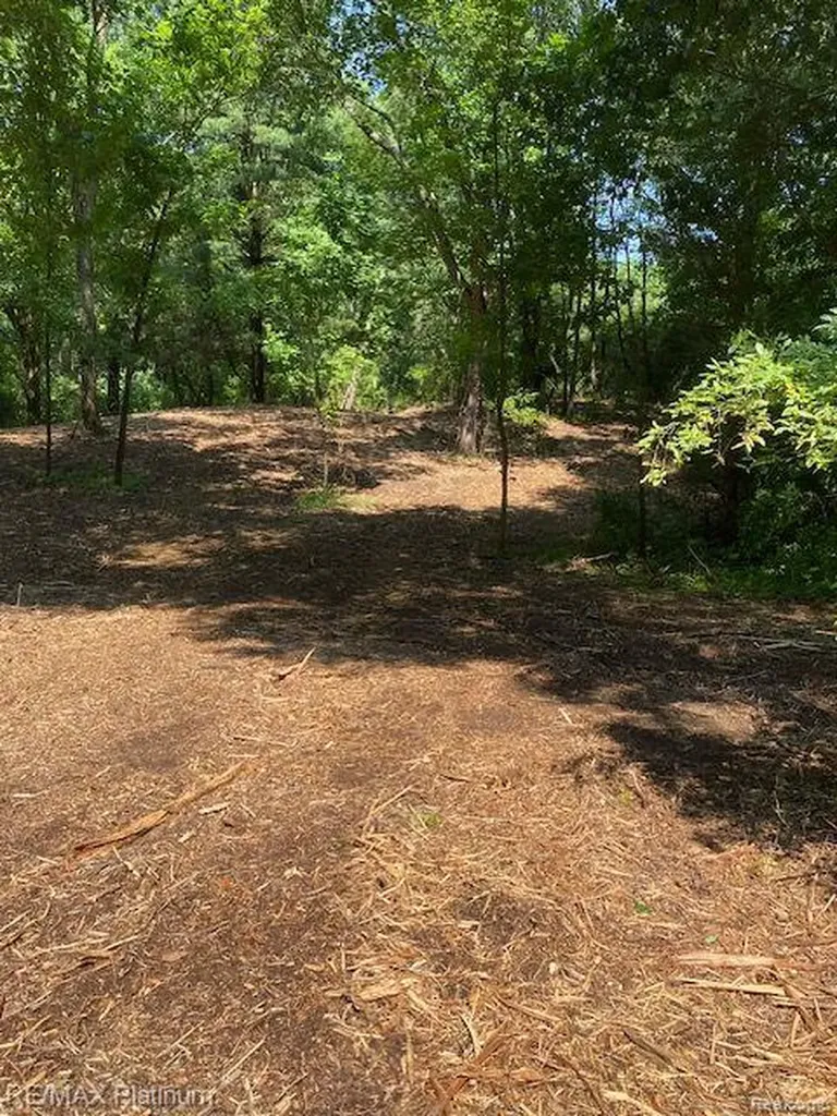 5 Sleaford-parcel 5 - 2.5 Acres Road Howell Township MI 48843